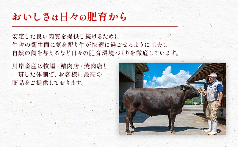 【最短7日以内発送】 神戸ビーフ 神戸牛 牝 切り落とし 白小間 1000g 1kg 川岸畜産 すき焼き 牛丼  冷凍 大容量 肉 牛肉 すぐ届く