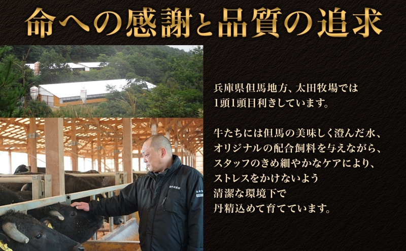 神戸ビーフ KS-1頭 ほぼ一頭色んな部位を食べくらべコース 神戸牛 焼肉 太田家 冷凍 肉 牛肉 食べ比べ