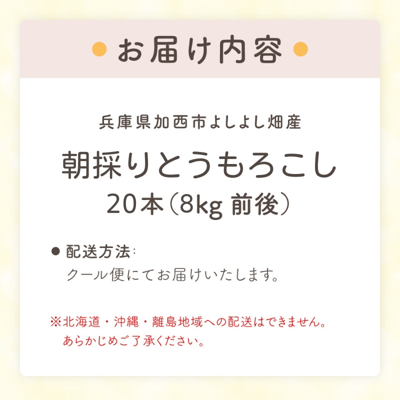 朝どり とうもろこし 20本（8kg前後）よしよし畑 農家直送