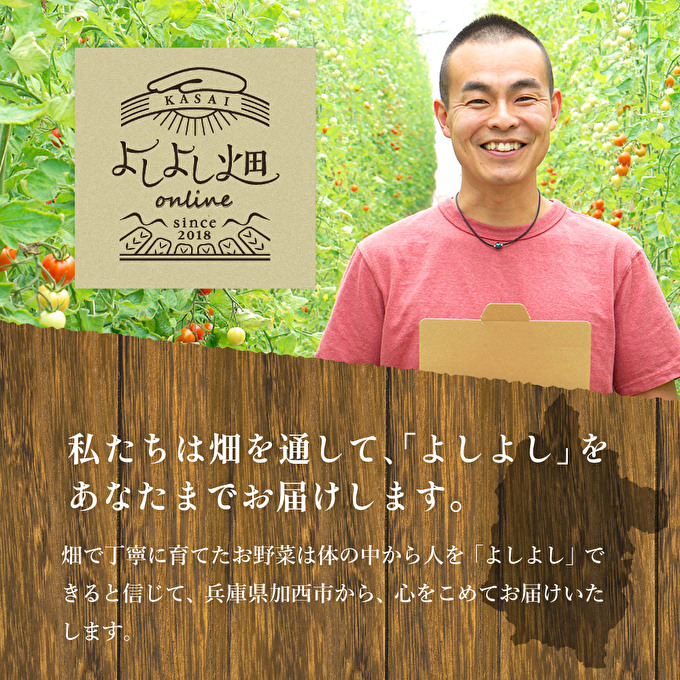 朝どり とうもろこし 20本（8kg前後）よしよし畑 農家直送