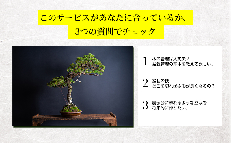 盆栽 翠松園 リザーブサービス 【あなたの盆栽に合わせた日々の管理をアドバイス】 チケット 体験チケット 