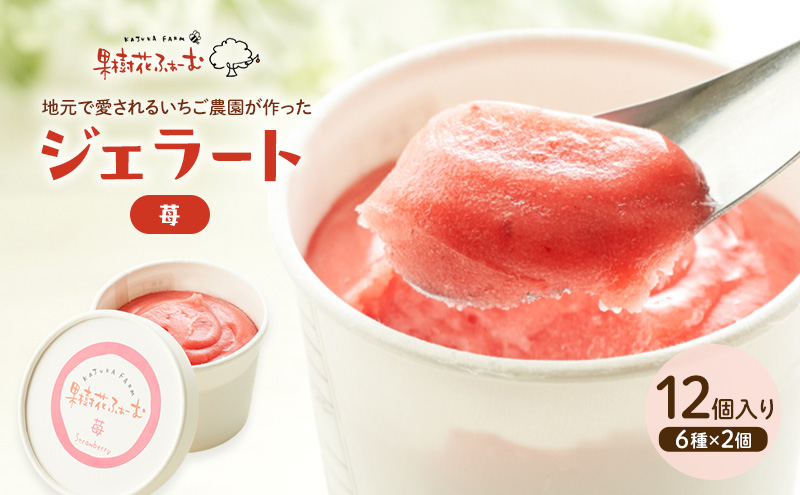 ジェラート いちご 12個 アイス アイスクリーム スイーツ お菓子 菓子 おやつ ストロベリー イチゴ 苺 兵庫県 加西市