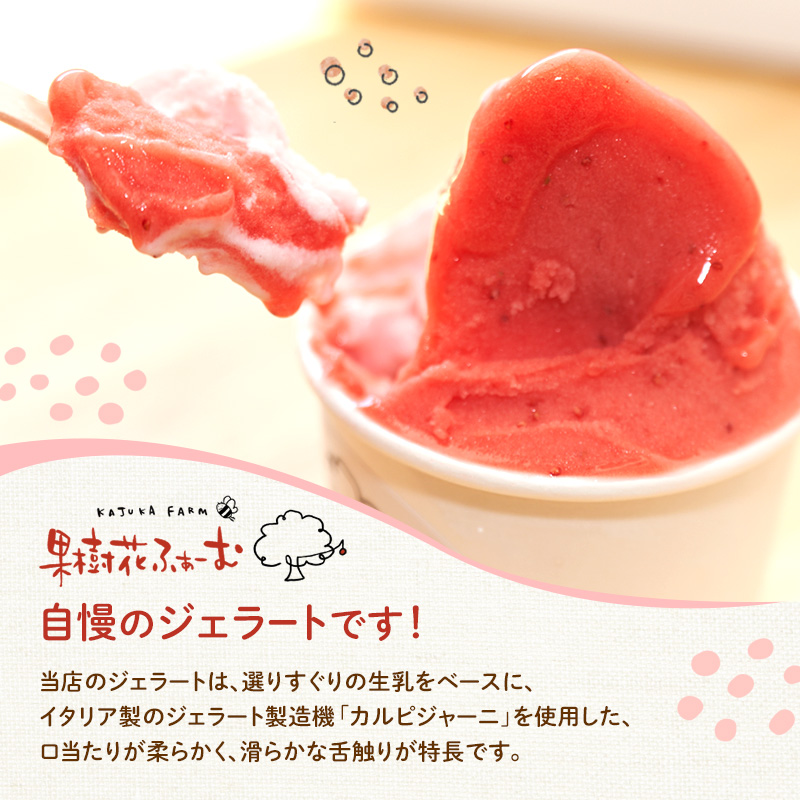 ジェラート チョコ 6個 アイス アイスクリーム スイーツ お菓子 菓子 おやつ 兵庫県 加西市 