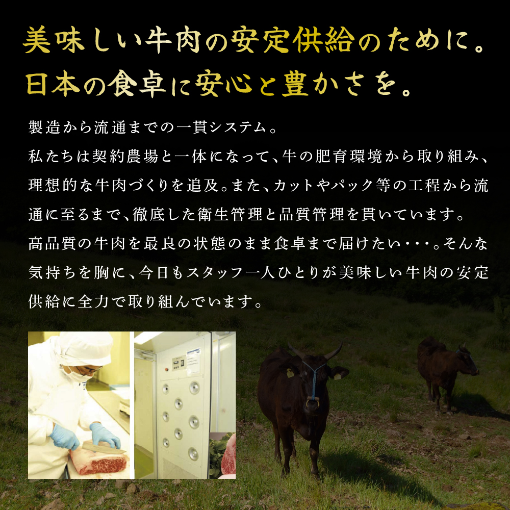 神戸牛 サーロインステーキ ブロック 2kg  牛肉 A4ランク A5ランク