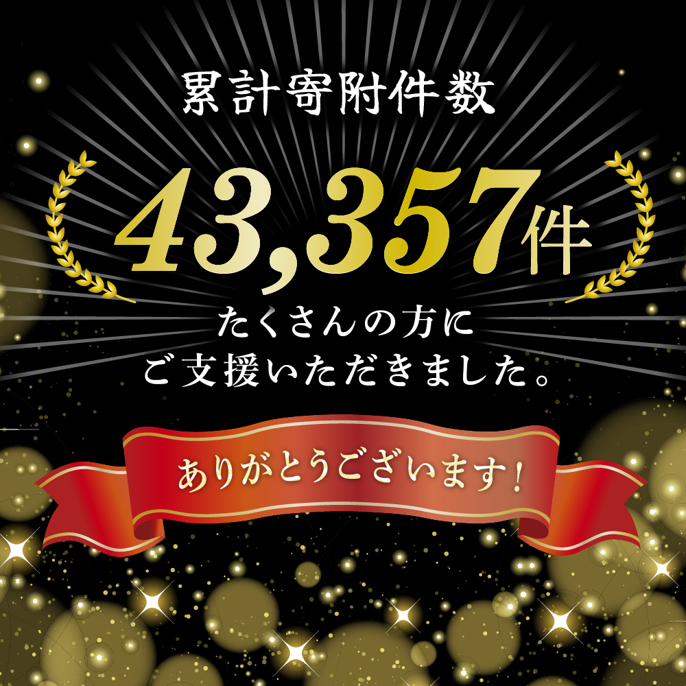 神戸牛 サーロインステーキ 焼肉カルビ お試しセット 800g 牛肉