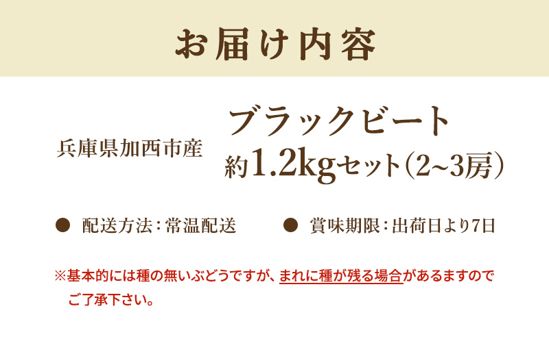 ブラックビート 2～3房 セット  ぶどう 種無し 皮ごと 兵庫県産 大粒 農家直送 果物 果物類 フルーツ デザート ブドウ 詰め合わせ 甘い 粒 糖度