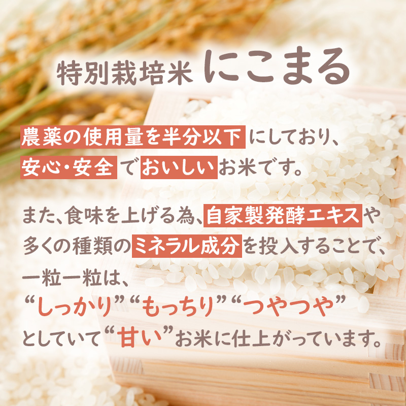 定期便 令和6年産 白米 10kg×6回 特別栽培米 にこまる （ 山田錦 ）　米 お米 こめ コメ 特栽米 10kg 6回 60kg ひょうご安心ブランド ご飯 ごはん ゴハン 精米 兵庫県 加西市