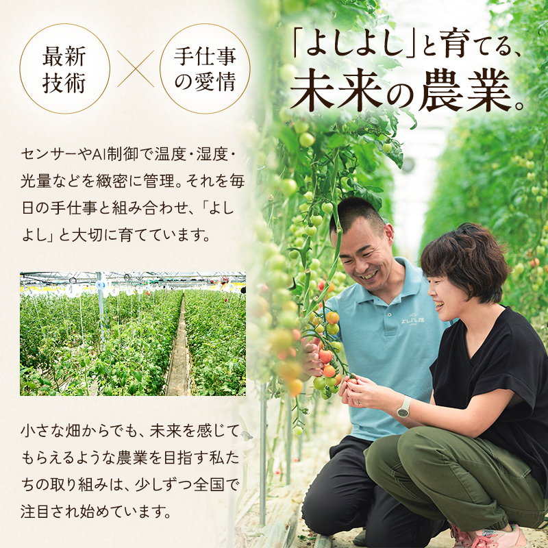 トマト 中玉 800g～1kg よしよし畑のあま～いトマト とまと 季節の野菜 旬の野菜 新鮮 農家直送 夏野菜 野菜