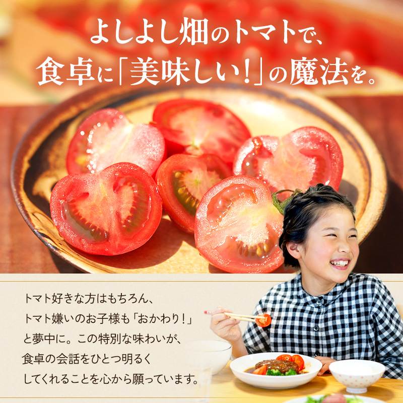 よしよし畑のあま～い トマト ( 中玉トマト ) 2.8kg ～ 3kg 程度 新鮮 産地直送  とまと おいしい おすすめ ギフト お取り寄せ