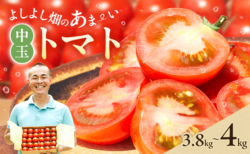 よしよし畑のあま～い トマト ( 中玉トマト ) 3.8kg ～ 4kg 程度 新鮮 産地直送  とまと おいしい おすすめ ギフト お取り寄せ