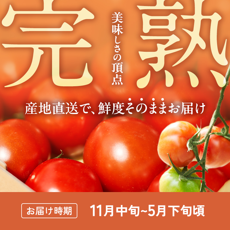 【3ヶ月連続 お届け】 よしよし畑のあま～い トマト ( 中玉トマト ) 800g ～ 1kg 計約3kg 程度 新鮮 産地直送  とまと 頒布会 定期便 おいしい おすすめ ギフト お取り寄せ