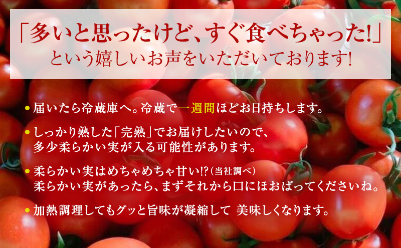 【3ヶ月連続 お届け】 よしよし畑のあま～い トマト ( 中玉トマト ) 800g ～ 1kg 計約3kg 程度 新鮮 産地直送  とまと 頒布会 定期便 おいしい おすすめ ギフト お取り寄せ