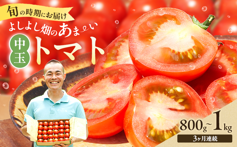 【最旬お届け確約】3ヶ月連続  よしよし畑のあま～い トマト ( 中玉トマト ) 800g ～ 1kg 計約3kg 程度 新鮮 産地直送  とまと 頒布会 定期便 おいしい おすすめ ギフト お取り寄せ