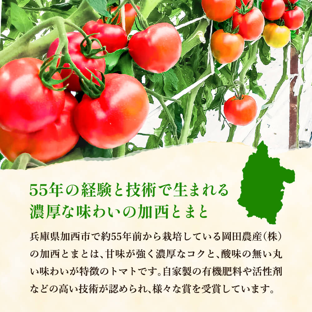 トマト 2kg+太陽のトマトピューレ 380g×3本 セット 加西トマト 2025年度産 兵庫県産 野菜 とまと 完熟 高糖度 濃厚 甘い 賞 受賞 糖度 夏野菜 あまい お取り寄せ 冷蔵配送