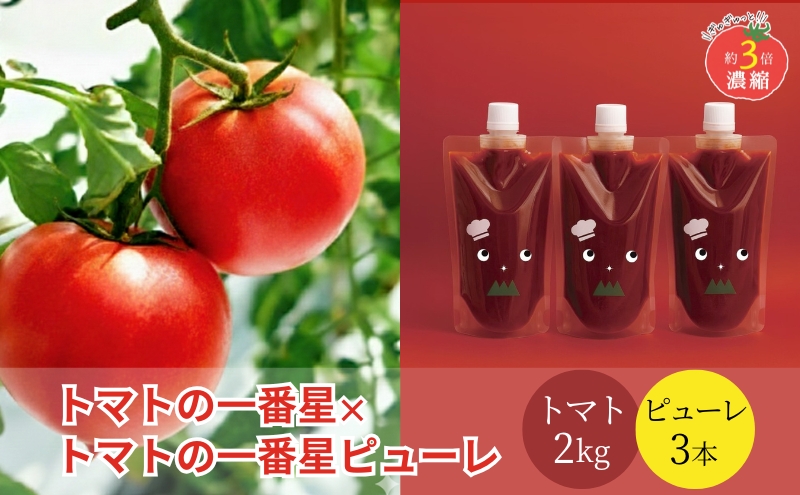 トマト 2kg+トマトの一番星ピューレ 380g×3本セット 兵庫県産 野菜 とまと 完熟 高糖度 濃厚 甘い 賞 受賞 糖度 夏野菜 あまい お取り寄せ 冷蔵配送