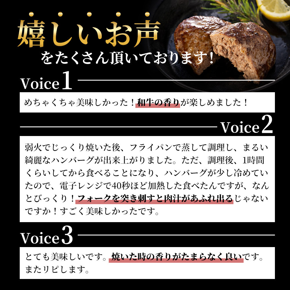 神戸牛 ハンバーグ 100g×10個  神戸ビーフ 国産 普段使い 肉 牛肉 セット 冷凍 小分け 帝神志方 夕飯 肉料理 100％神戸ビーフ 肉汁 