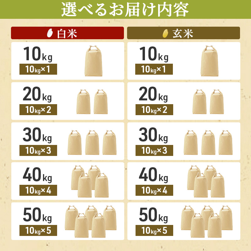 【令和7年度産 最速予約受付!】ヒノヒカリ 白米 10kg エコ  環境にやさしい おいしい お米 事業者支援 白米 精米 国産 ごはん ご飯 白飯 小分け