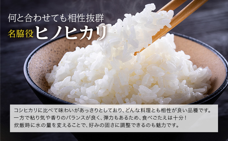 【令和6年産新米予約受付】 定期便 ヒノヒカリ 3kg×2袋 12ヶ月連続お届け 単一原料米 おいしい お米 事業者支援 白米 精米 国産 ごはん ご飯 白飯 小分け 百合農園