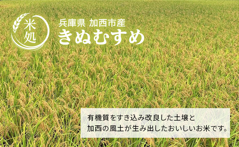 【令和6年産新米予約受付】きぬむすめ 2kg 単一原料米 おいしい お米 事業者支援 白米 精米 国産 ごはん ご飯 白飯 小分け 百合農園