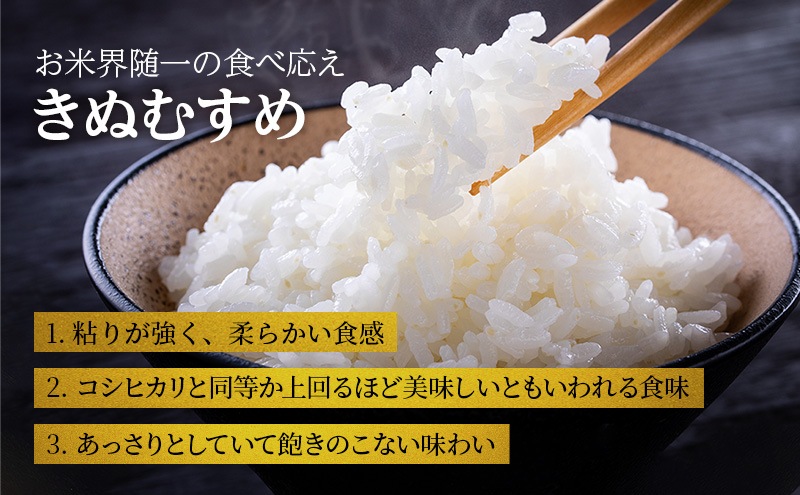 【令和6年産新米予約受付】きぬむすめ 2kg 単一原料米 おいしい お米 事業者支援 白米 精米 国産 ごはん ご飯 白飯 小分け 百合農園