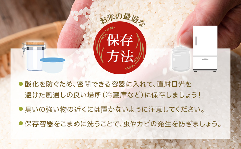 【令和6年産新米予約受付】きぬむすめ 3kg 単一原料米 おいしい お米 事業者支援 白米 精米 国産 ごはん ご飯 白飯 小分け 百合農園