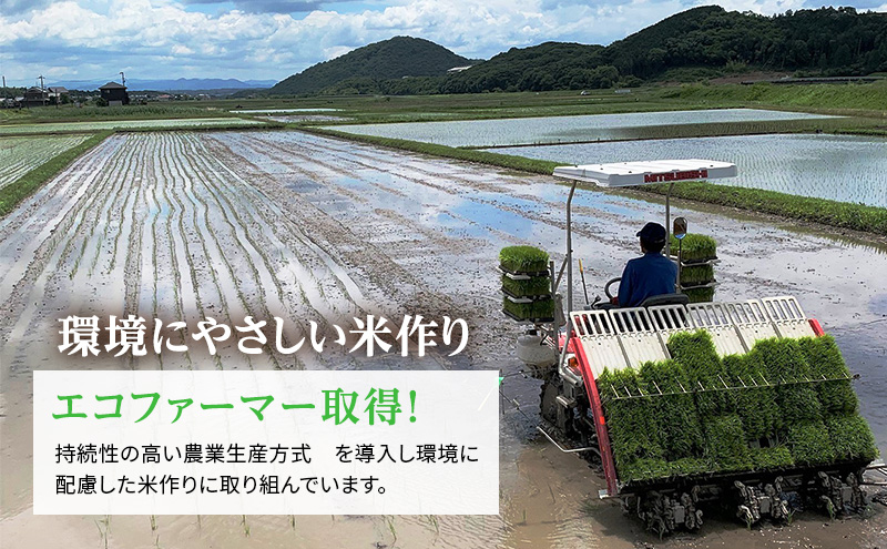 【令和6年産新米予約受付】きぬむすめ 3kg×2袋 単一原料米 おいしい お米 事業者支援 白米 精米 国産 ごはん ご飯 白飯 小分け 百合農園