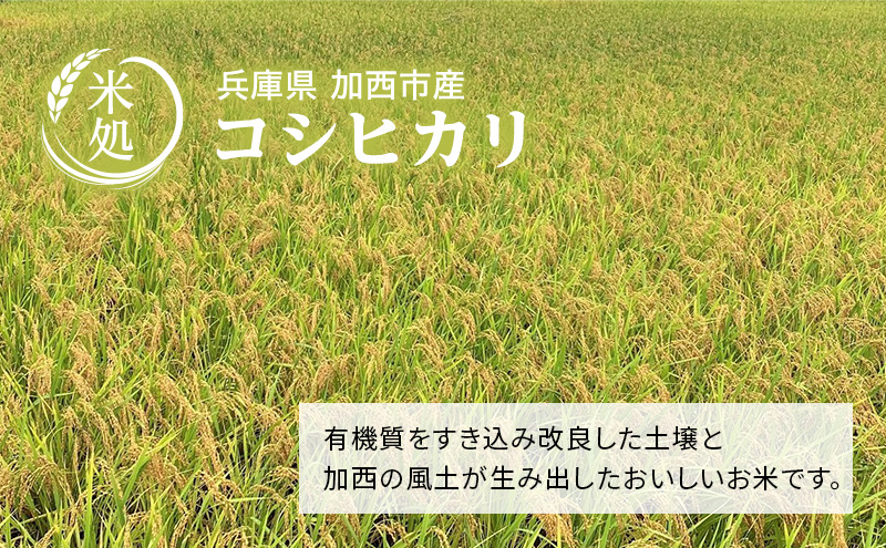 【令和6年産新米予約受付】コシヒカリ 2kg 単一原料米 おいしい お米 事業者支援 白米 精米 国産 ごはん ご飯 白飯 小分け 百合農園