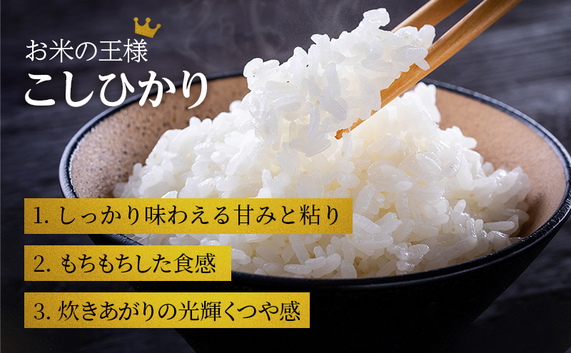 【令和6年産新米予約受付】コシヒカリ 2kg 単一原料米 おいしい お米 事業者支援 白米 精米 国産 ごはん ご飯 白飯 小分け 百合農園