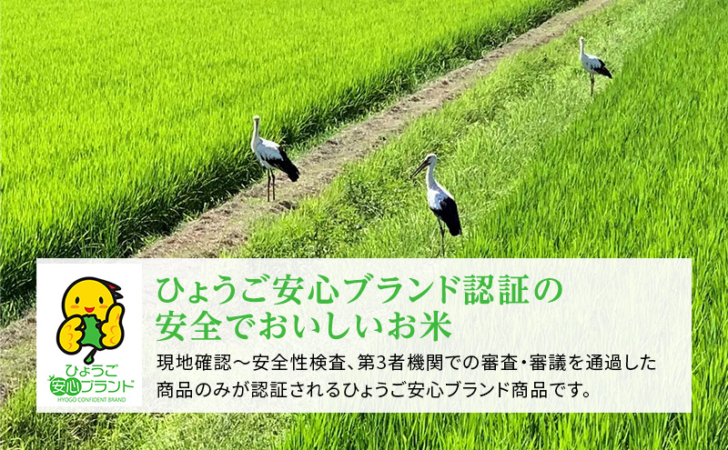 【令和6年産新米予約受付】 定期便 コシヒカリ 3kg×2袋 3ヶ月連続お届け 単一原料米 おいしい お米 事業者支援 白米 精米 国産 ごはん ご飯 白飯 小分け 百合農園