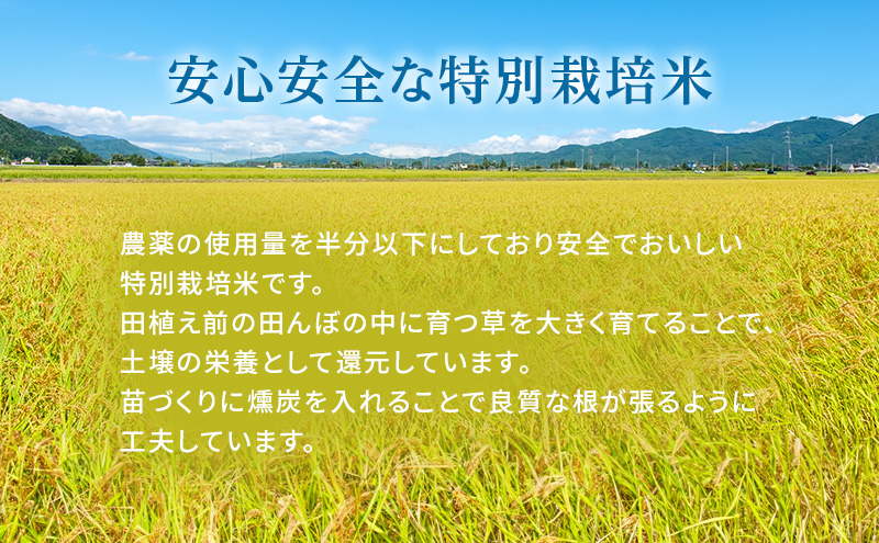 【令和6年産新米予約受付】 特別栽培米 にこまる 白米5kg 東京米スターセレクションKIWAMI米2023 金賞受賞！ 新米 精米 白米 お米 こめ コメ ごはん ご飯 ニコマル 先行予約 単一原料米