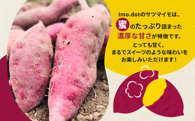 【訳アリ】冷凍 やきいも 500g 紅はるか お試し 不揃い imo.dot 専門店 さつまいも いも 芋 おいも お芋 冷凍やきいも 冷凍焼き芋 冷やし焼いも お菓子 おかし おやつ スイーツ