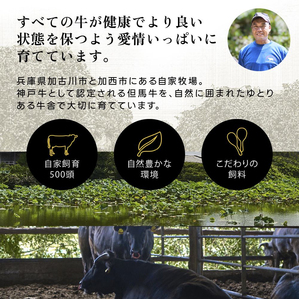 神戸牛 ロースステーキ 600g 3枚 セット 詰め合わせ 牛肉 肉