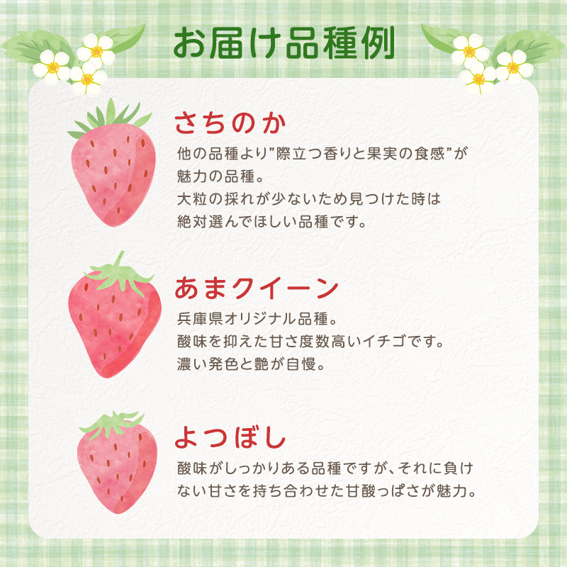 いちご 2パック 兵庫県 加西市 果物類 苺 イチゴ 果物詰合せ フルーツ 