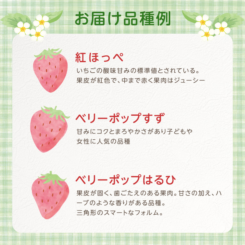 いちご 2パック 兵庫県 加西市 果物類 苺 イチゴ 果物詰合せ フルーツ 