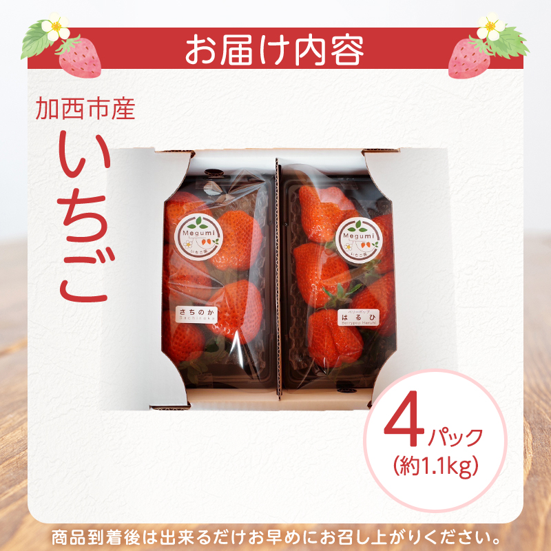縺縺。縺斐4繝代ャ繧ッ 蜈オ蠎ォ逵 蜉隘ソ蟶 譫懃黄鬘 闍コ 繧、繝√ざ 譫懃黄隧ー蜷医○ 繝輔Ν繝シ繝