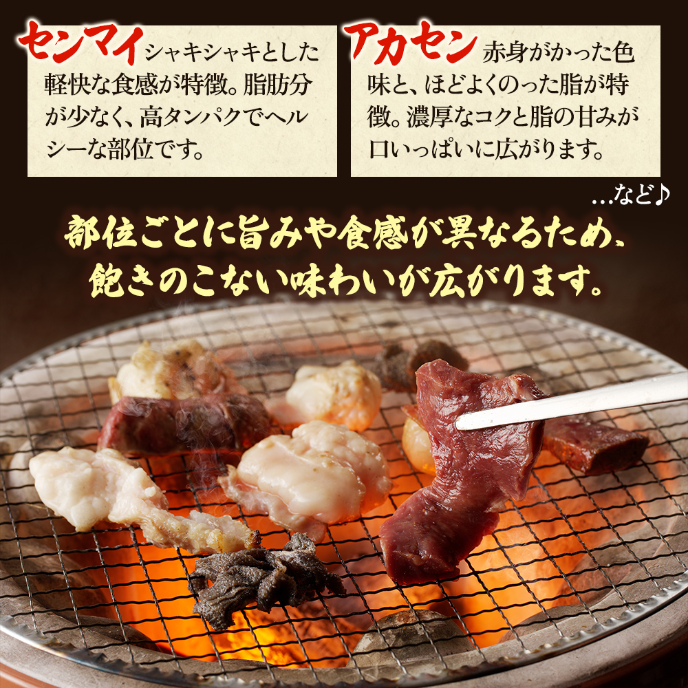 繝帙Ν繝「繝ウ繧サ繝繝 900g縲仙ー剰ク 200g 繝帙Ν繝「繝ウ 500g 繝ャ繝舌シ 200g 辟シ閧峨ョ繧ソ繝ャ 1譛ャ縲