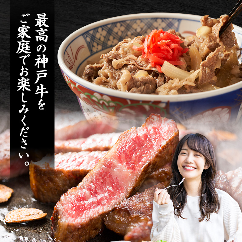 期間限定寄附額 神戸牛 福袋 帝神 おまかせコース B  肩ローススライス ももステーキ