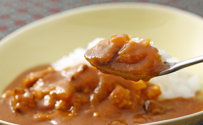 「加西産とまと」を使ったトマト & 牛すじカレー レトルトカレー 5箱 カレー 中辛 野菜/とまと やさい セット