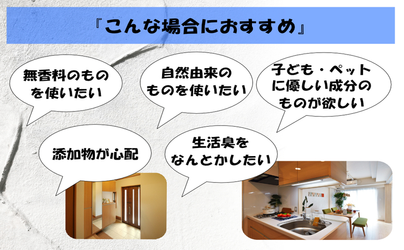 消臭スプレー エコアーススプレー 300ml 1本 消臭剤