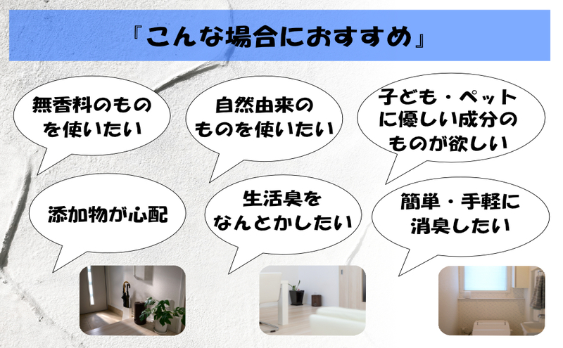 消臭スプレー エコアース ボトルタイプ 500ml 1本 消臭剤