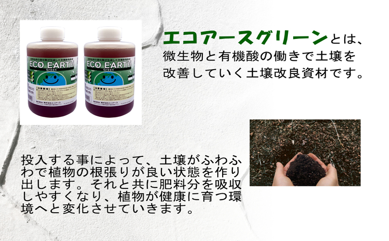 土壌改良材 エコアースグリーン1000ml×2本 計2L セット