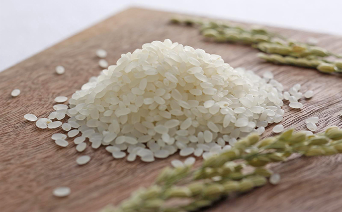 令和5年産！有機・減農薬栽培米キヌヒカリ(白米)10kg
