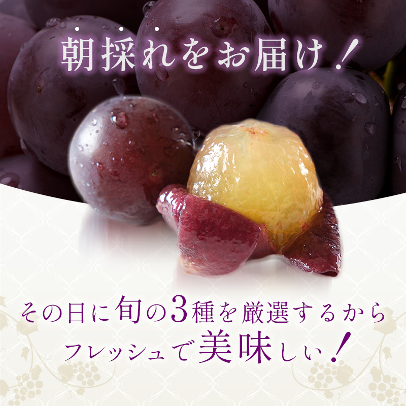 8月発送｜採れたて旬のぶどう 食べ比べ 約2kg（3～4房）セット 詰め合わせ 産地直送 フルーツ 兵庫県 加西市