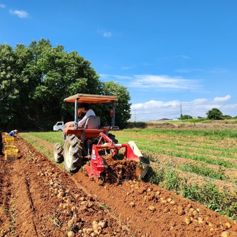 じゃがいも メークイン 5kg 産地直送 野菜 ジャガイモ 芋 赤土 加西市 栄町