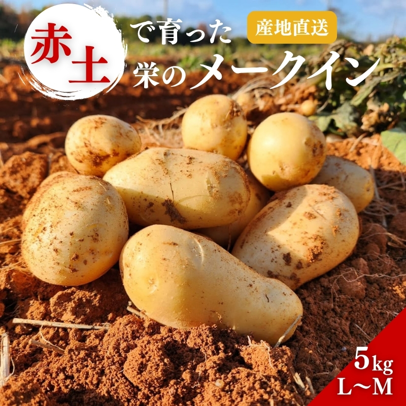 じゃがいも メークイン 5kg 産地直送 野菜 ジャガイモ 芋 赤土 加西市 栄町
