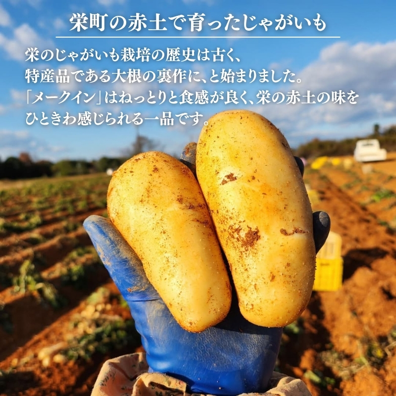 じゃがいも メークイン 5kg 産地直送 野菜 ジャガイモ 芋 赤土 加西市 栄町
