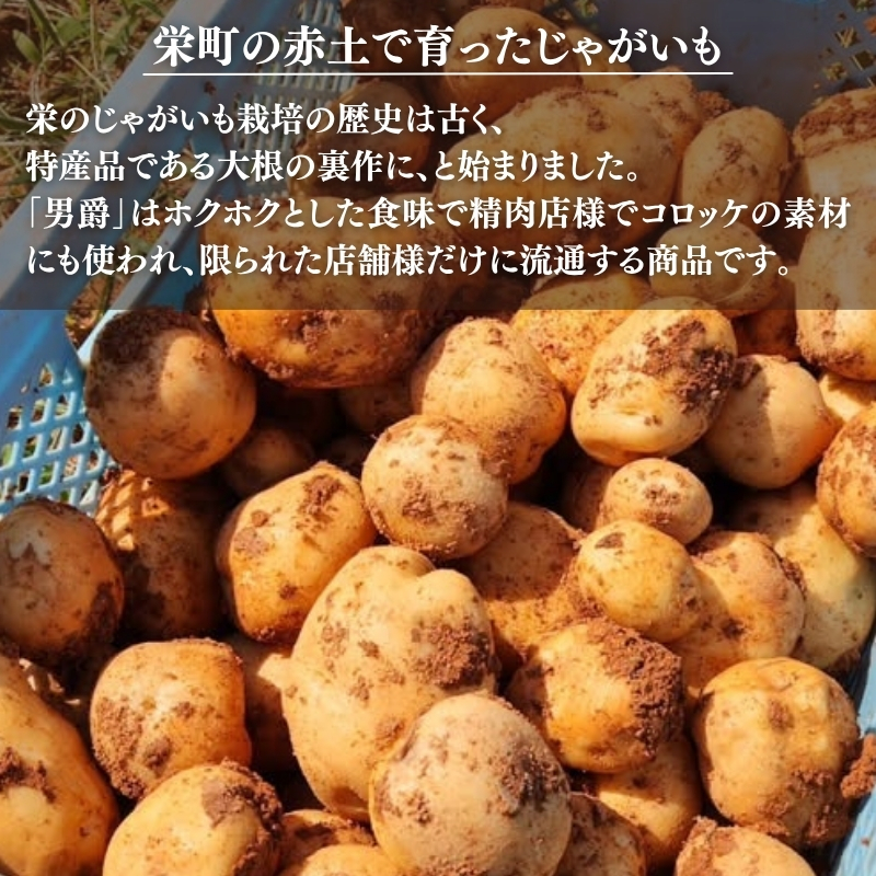 じゃがいも 男爵 5kg 産地直送 野菜 ジャガイモ 芋 赤土 加西市 栄町