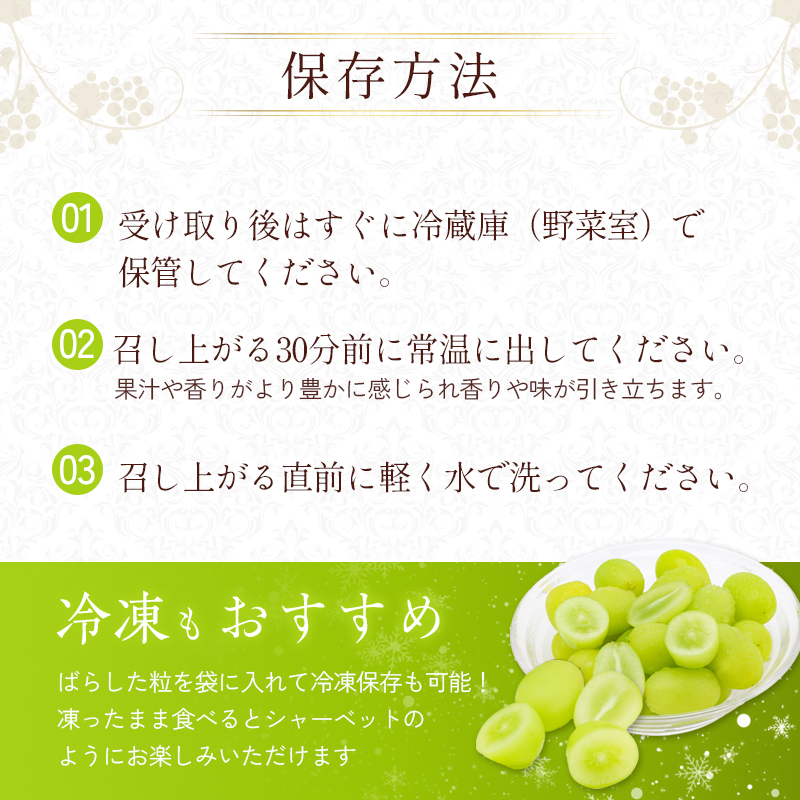 シャインマスカット 約2kg以上（3房）朝採れ ぶどう セット 詰め合わせ 産地直送 フルーツ 食べごたえ満点 兵庫県 加西市