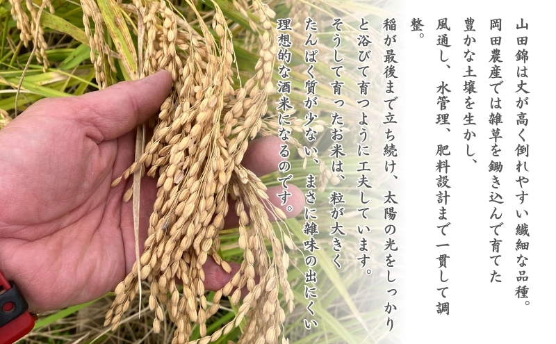 日本酒 純米大吟醸 「お米も一番星 田」 720ml 化粧箱入り 酒 お酒 清酒 山田錦 アルコール ギフト プレゼント