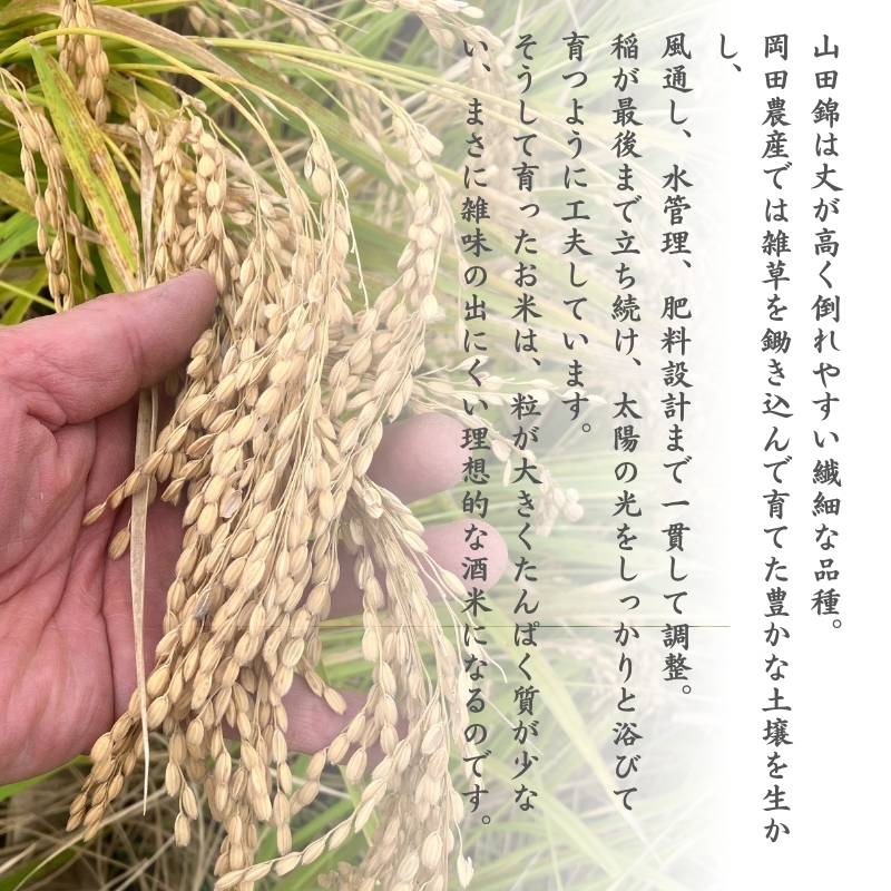 日本酒 純米大吟醸 「お米も一番星 田」 720ml×2本 化粧箱入り 酒 お酒 清酒 山田錦 アルコール ギフト プレゼント